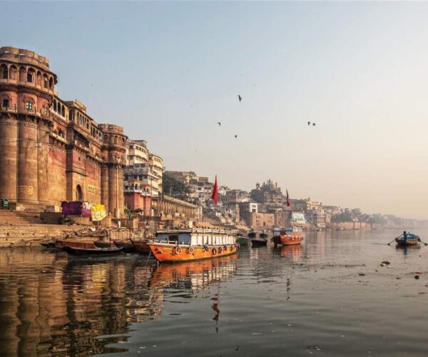 INDIA 7